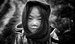 60 phút mở 'làm từ thiện vì ai' lại bị phản ứng: Nhà báo Trần Đăng Tuấn lên tiếng